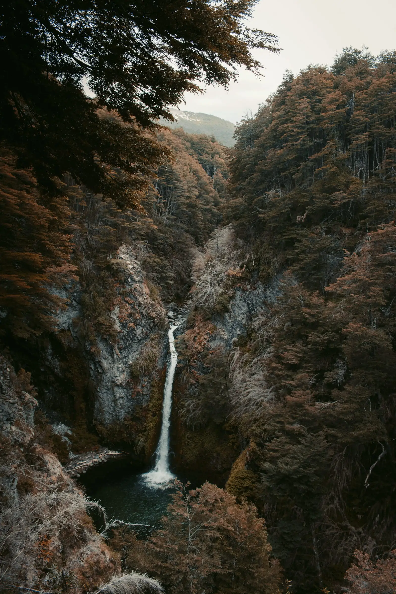 Una cascada fina cae en una garganta cubierta de bosque otoñal.