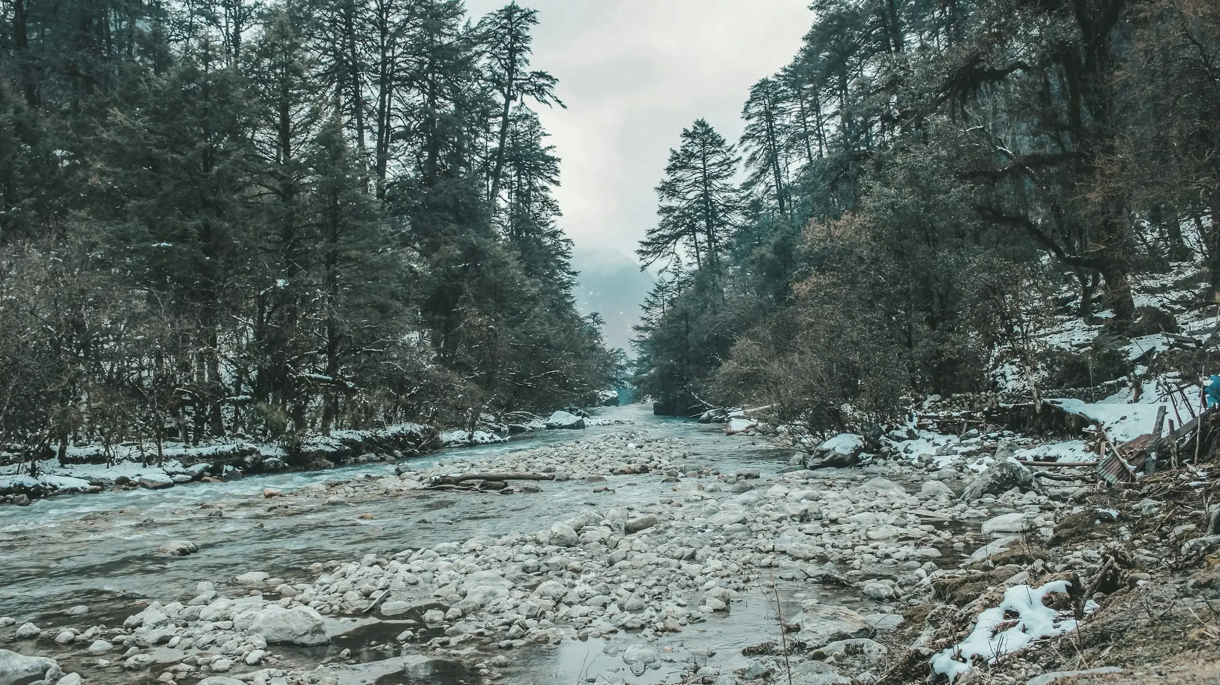 Río de montaña de aguas verdosas entre orillas con nieve y bosque de coníferas.