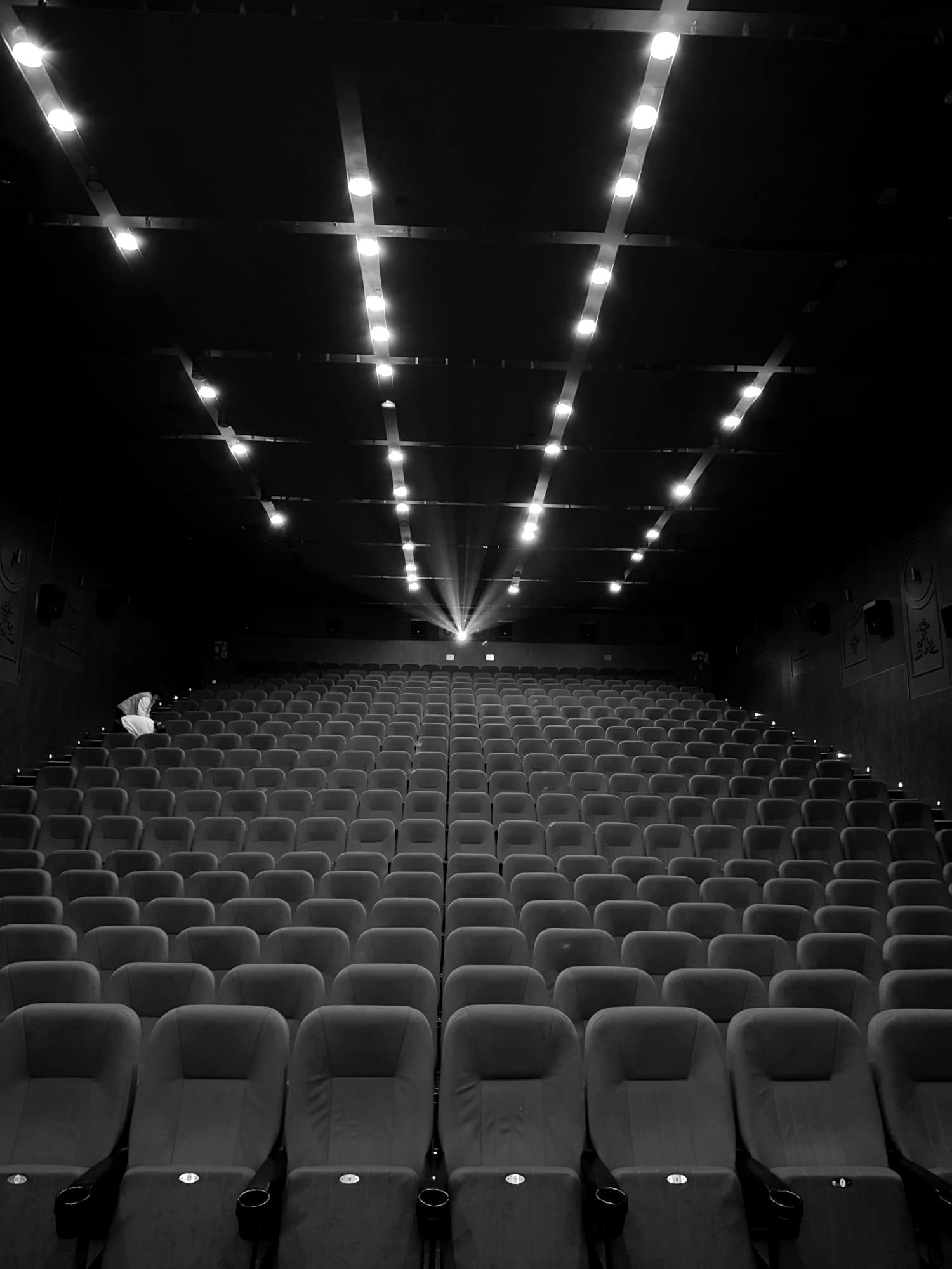 Sala de cine vacía con filas de butacas y el haz del proyector al fondo, en blanco y negro.